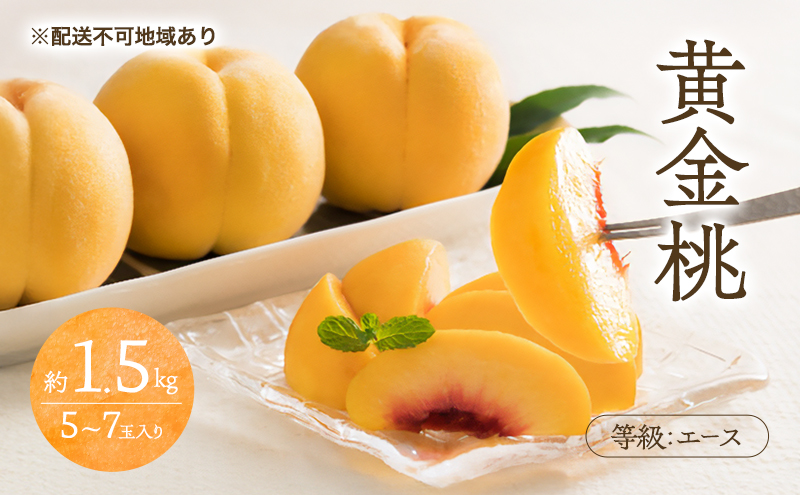 桃 2026年 先行予約 黄金桃 等級 エース 約1.5kg 5～7玉入り もも モモ 岡山 国産 フルーツ 果物 桃茂実苑