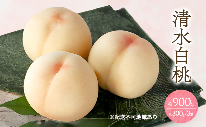 æ¡ 2026幎 å
è¡äºçŽ æž
æ°Ž çœæ¡ 3ç åèšçŽ900g ïŒ1ççŽ300gïŒ ãã ã¢ã¢ 岡山 åœç£ ãã«ãŒã æç© ã®ãã æ¡èå®è