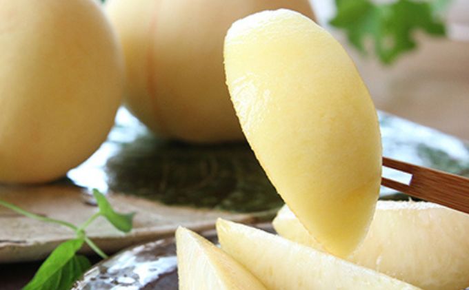 æ¡ 2026幎 å
è¡äºçŽ æž
æ°Ž çœæ¡ 1.5kg 5ïœ6ç ãã ã¢ã¢ 岡山 åœç£ ãã«ãŒã æç© ã®ãã æ¡èå®è