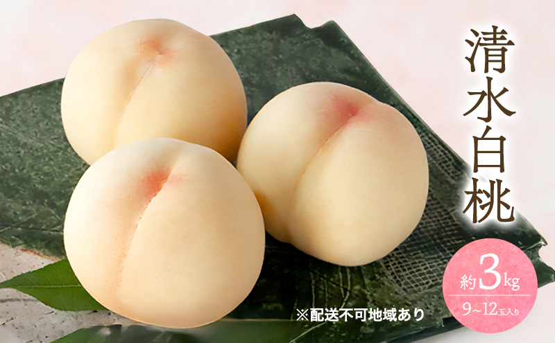 æ¡ 2026幎 å
è¡äºçŽ æž
æ°Ž çœæ¡ 3kg 9ïœ12ç ãã ã¢ã¢ 岡山 åœç£ ãã«ãŒã æç© ã®ãã æ¡èå®è