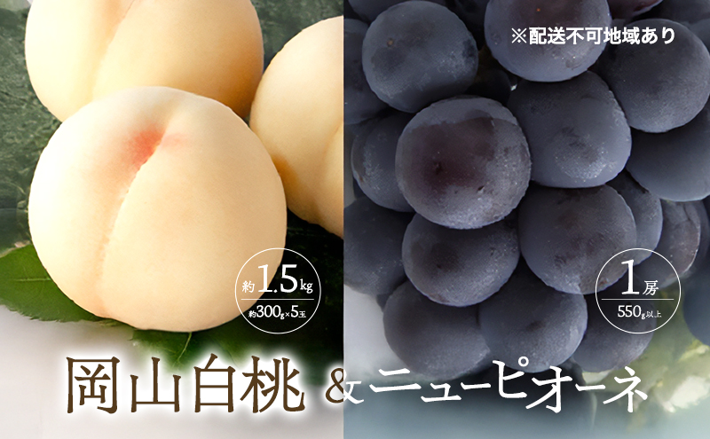 桃 ぶどう 2026年 先行予約 清水 白桃 5玉 約1.5kg 1玉約300g ニュー ピオーネ 1房 550g以上もも 葡萄 詰合せ 岡山 国産 フルーツ 果物 ギフト 桃茂実苑