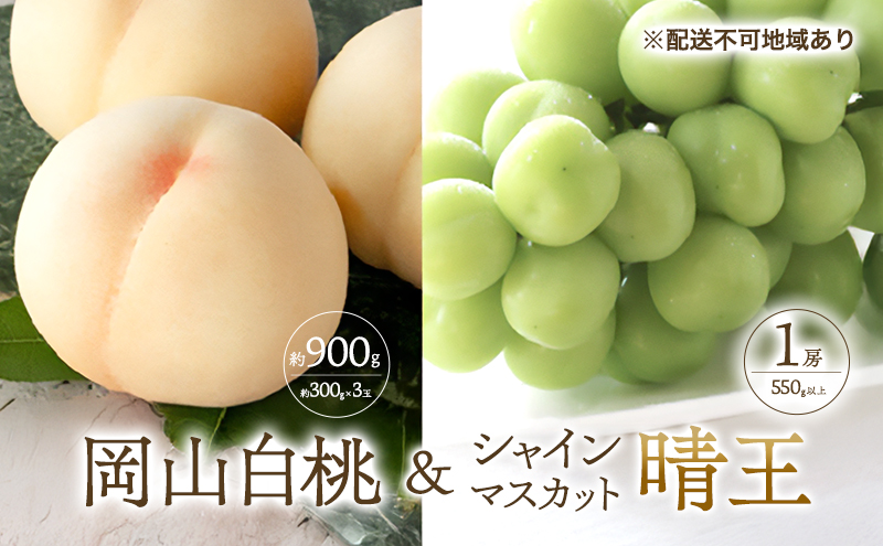 桃 ぶどう 2026年 先行予約 清水 白桃 3玉合計 約900g （1玉約300g） シャインマスカット 晴王 1房 550g以上もも 葡萄 詰合せ 岡山 国産 フルーツ 果物 ギフト 桃茂実苑