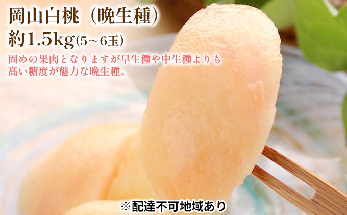 固めの 桃 2026年 先行予約 白桃 晩生種 1.5kg 5～6玉 もも モモ 岡山 国産 フルーツ 果物 ギフト 桃茂実苑