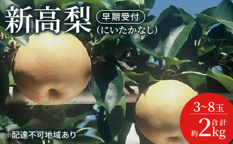 梨 早期受付 新高 梨 （にいたかなし）3～8玉 合計約2kgなし ナシ 岡山県産 国産 フルーツ 果物 ギフト桃茂実苑 果物類 先行予約