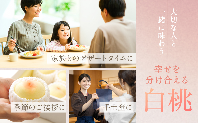 桃 2026年 先行予約 白桃 3玉 合計約800g もも モモ 岡山県産 国産 フルーツ 果物 ギフト