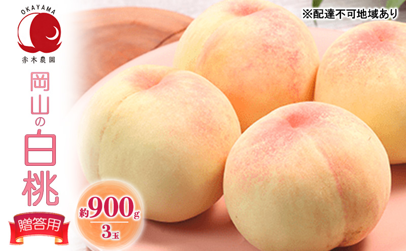 桃 2026年 先行予約 贈答用 岡山の白桃 約900g 3玉 白桃 もも モモ フルーツ 果物 国産 赤木農園