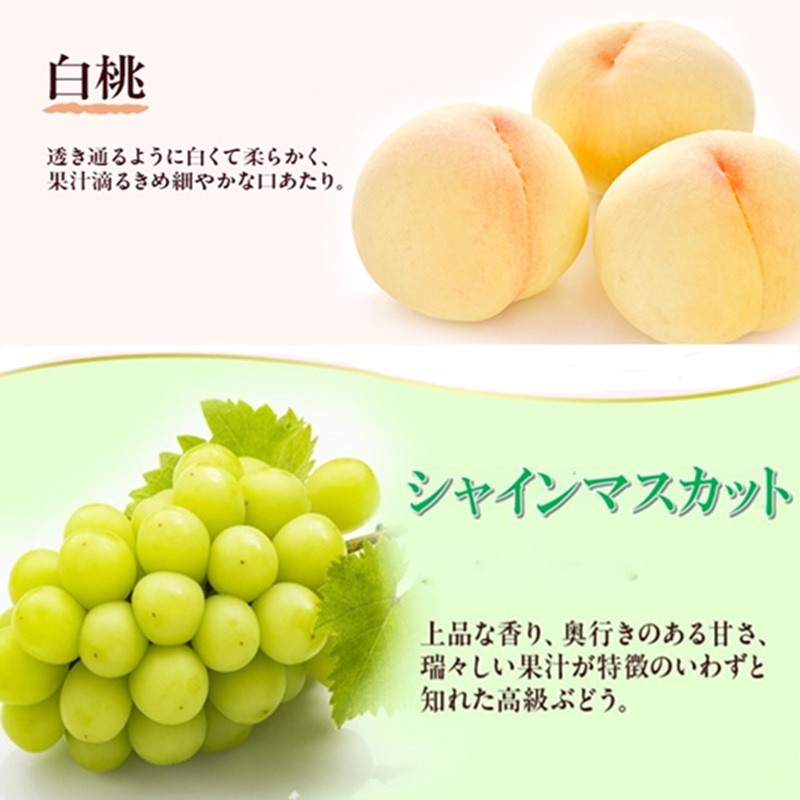 岡山県産 フルーツセット シャインマスカット 1房(約500g) 白桃 1玉(約200g)  果物 フルーツ 詰め合わせ ぶどう ブドウ 葡萄 桃 国産