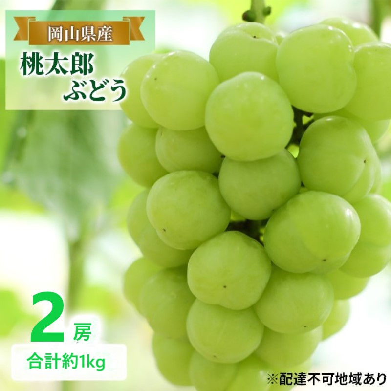 先行予約 晴れの国 岡山のフルーツ 定期便 3回コース 1回目 岡山 白桃6玉 合計約1.2kg／2回目 桃太郎ぶどう２房 合計約1kg／シャインマスカット 2房 合計約1kg