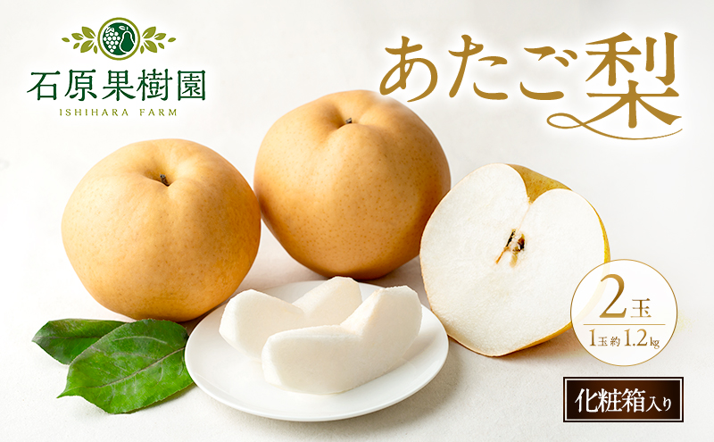 梨 2026年 先行予約 あたご梨 2玉 (1玉 約1.2kg) 化粧箱 【11月下旬～12月中旬頃発送】 ナシ なし 岡山県産 国産 フルーツ 果物 ギフト 石原果樹園