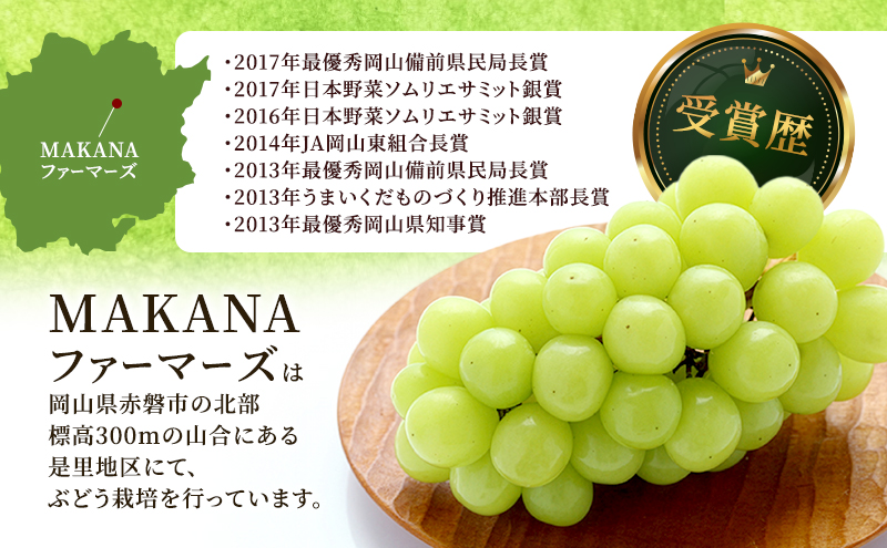 ぶどう 2026年 先行予約 シャイン マスカット 2房 （1房700g～800g） 大粒 種無し ブドウ 葡萄 岡山県産 国産 フルーツ 果物 ギフト MAKANAファーマーズ 種なし 皮ごと デザート