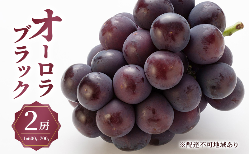 ぶどう 2026年 先行予約 オーロラ ブラック 2房（1房600g～700g） 大粒 種無し ブドウ 葡萄 岡山県産 国産 フルーツ 果物 ギフト MAKANAファーマーズ 果物類 オーロラブラック