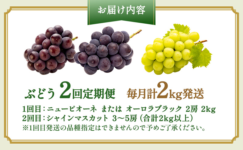 ぶどう 2026年 先行予約 2回 定期便 (毎月計2kg発送) ピオーネ オーロラブラック シャインマスカット ブドウ 葡萄 岡山県産 国産 フルーツ 果物 ギフト OEC KINGDOM ぶどう家 果物類