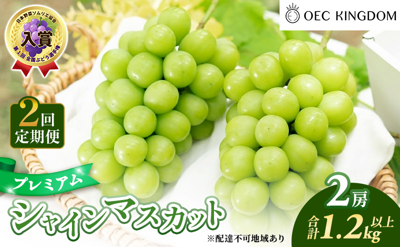ぶどう 2026年 先行予約 2回 定期便 プレミアム シャインマスカット 2房(1.2kg以上)  贈答クラス ブドウ 葡萄 岡山県産 国産 フルーツ 果物 ギフト OEC KINGDOM ぶどう家 果物類