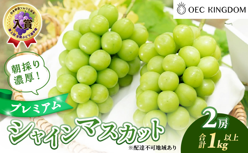 ぶどう 2026年 先行予約 プレミアム シャインマスカット 2房(1kg以上) 大粒 大房 贈答クラス ブドウ 葡萄 岡山県産 国産 フルーツ 果物 ギフト OEC KINGDOM ぶどう家 果物類