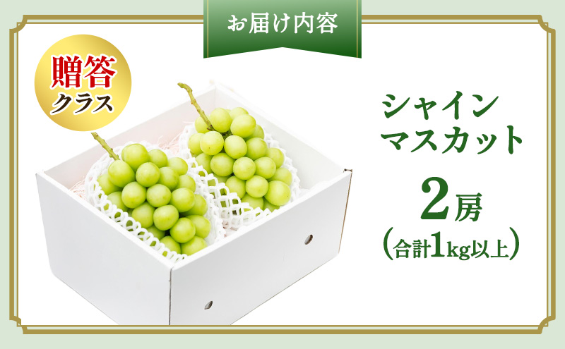 ぶどう 2026年 先行予約 プレミアム シャインマスカット 2房(1kg以上) 大粒 大房 贈答クラス ブドウ 葡萄 岡山県産 国産 フルーツ 果物 ギフト OEC KINGDOM ぶどう家 果物類