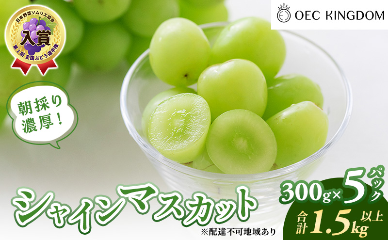 ぶどう 2026年 先行予約 シャインマスカット 300g×5パック(1.5kg以上) ブドウ 葡萄 岡山県産 国産 フルーツ 果物 ギフト OEC KINGDOM ぶどう家 果物類