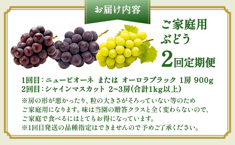 ぶどう 2026年 先行予約 ご家庭用 2回 定期便 ピオーネ オーロラブラック シャインマスカット ブドウ 葡萄 岡山県産 国産 フルーツ 果物 ギフト OEC KINGDOM ぶどう家 果物類