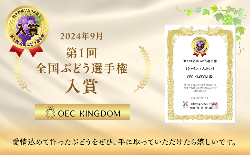 ぶどう 2026年 先行予約 ［ご家庭用］ シャイン マスカット 2房（合計1kg以上）  ブドウ 葡萄  岡山県産 国産 フルーツ 果物 OEC KINGDOM ぶどう家 果物類 