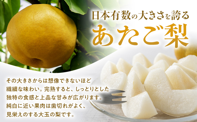 あたご梨 2玉 合計約1.8kg 梨 なし 果物 フルーツ 岡山県産 2026年