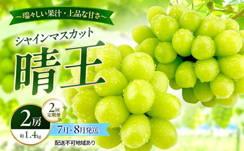ã¶ã©ã 2026幎 å
è¡äºçŽ å®æäŸ¿ ã·ã£ã€ã³ãã¹ã«ãã æŽç 2æ¿ çŽ1.4kg 7æã»ïŒæ 2åçºé 岡山çç£ çš®ç¡ã ç®ããšé£ã¹ã ã¿ãã¿ããã çã æž©å®€æ œå¹ ç¬æžå
æŽãã®åœ ããã㟠æç©å€§åœ æºå€©ãã«ãŒã
