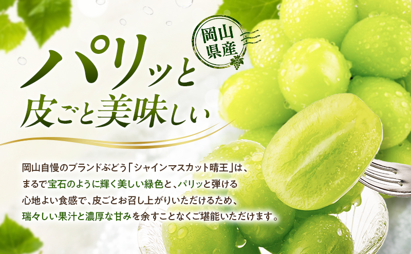 ã¶ã©ã 2026幎 å
è¡äºçŽ å®æäŸ¿ ã·ã£ã€ã³ãã¹ã«ãã æŽç 2æ¿ çŽ1.4kg 7æã»ïŒæ 2åçºé 岡山çç£ çš®ç¡ã ç®ããšé£ã¹ã ã¿ãã¿ããã çã æž©å®€æ œå¹ ç¬æžå
æŽãã®åœ ããã㟠æç©å€§åœ æºå€©ãã«ãŒã