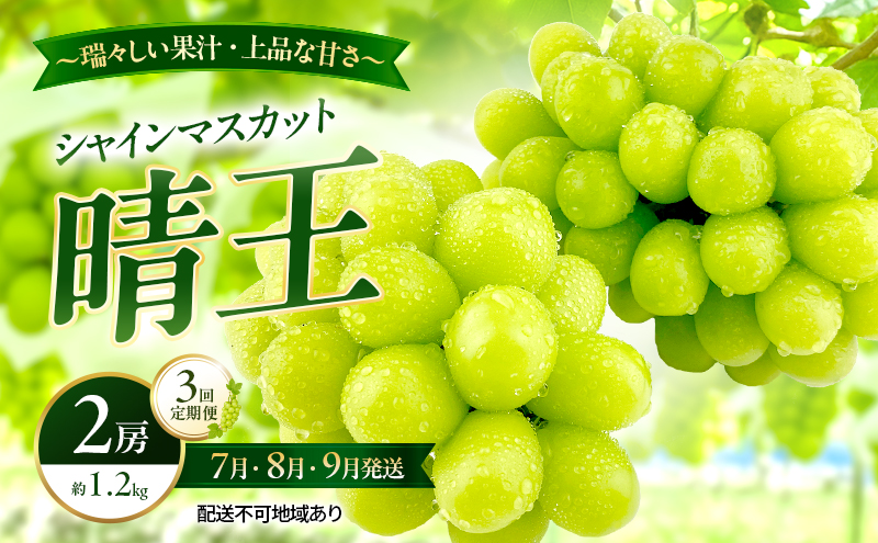 ぶどう 2026年 先行予約 定期便 シャインマスカット 晴王 2房 約1.2kg 7月・8月・9月 3回発送 岡山県産 種無し 皮ごと食べる みずみずしい 甘い 瀬戸内 晴れの国 おかやま 果物大国 満天フルーツ