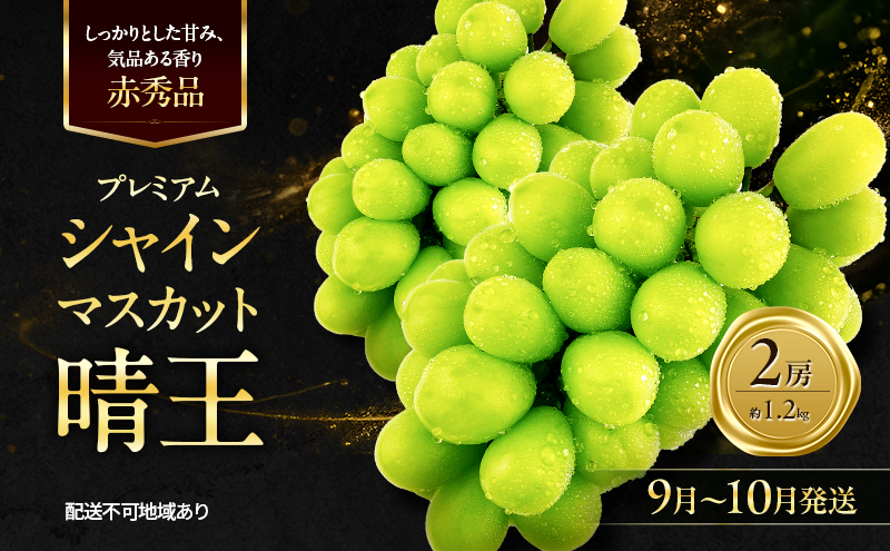 ぶどう 2026年 先行予約 赤秀ぶどう プレミアム シャインマスカット 晴王 2房 1.2kg 9月～10月発送 船穂産 赤秀品 皮ごと食べる みずみずしい 糖度保証 岡山県産 満天フルーツ