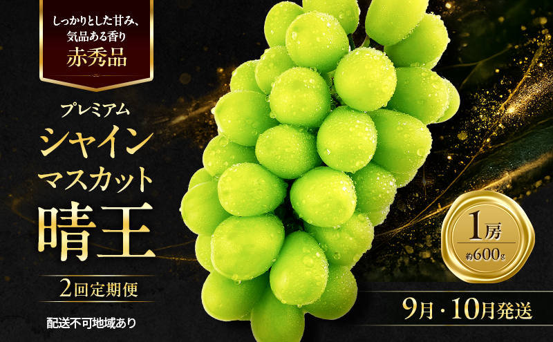 ぶどう 2026年 先行予約 定期便 赤秀ぶどう プレミアム シャインマスカット 晴王 1房 600g 9月・10月 2回発送 船穂産 赤秀品 皮ごと食べる みずみずしい 岡山県産 満天フルーツ