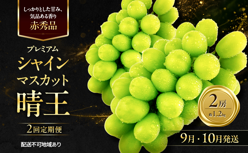 ぶどう 2026年 先行予約 定期便 赤秀ぶどう プレミアム シャインマスカット 晴王 2房 1.2kg 9月・10月 2回発送 船穂産 赤秀品 皮ごと食べる みずみずしい 岡山県産 満天フルーツ