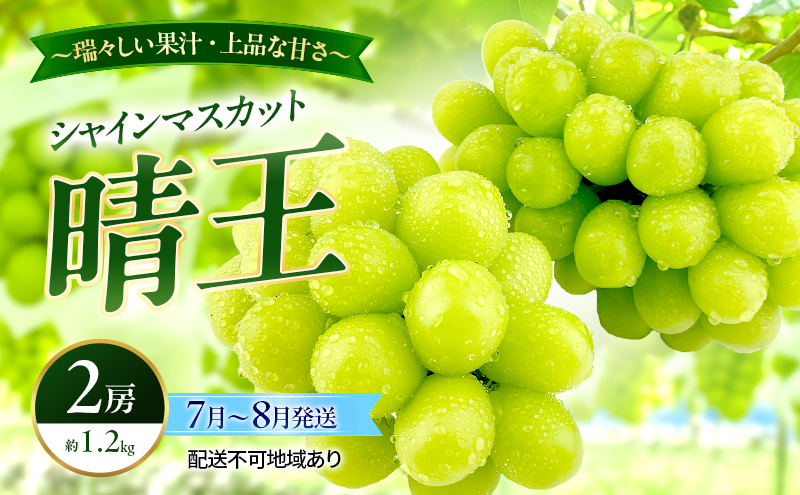 ぶどう 2026年 先行予約 シャインマスカット 晴王 2房 約1.2kg 7月～8月発送 岡山県産 種無し 皮ごと食べる みずみずしい 甘い 温室栽培 晴れの国 おかやま 果物大国 満天フルーツ