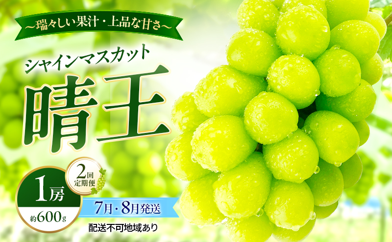 ぶどう 2026年 先行予約 定期便 シャインマスカット 晴王 1房 約600g 7月・８月 2回発送 岡山県産 種無し 皮ごと食べる みずみずしい 甘い 温室栽培 瀬戸内 晴れの国 おかやま 果物大国 満天フルーツ