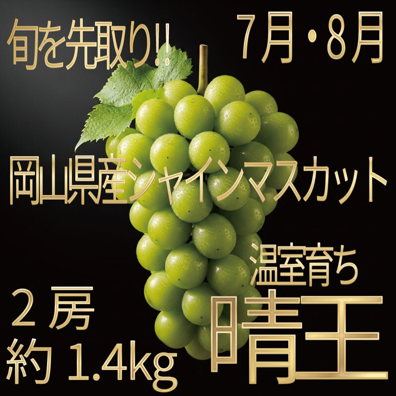 [HS]ぶどう先行予約7月・8月発送温室シャインマスカット晴王2房(合計約1.4kg) ブドウ 葡萄  岡山県産 国産 フルーツ 果物 ギフト デザート 食後 酸味が少ない 産地直送