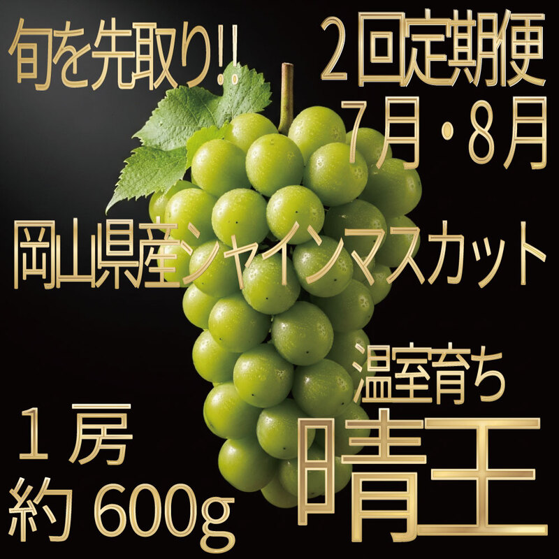 [HS]【定期便全2回】ぶどう先行予約7月・8月発送温室シャインマスカット晴王1房約600g ブドウ 葡萄  岡山県産 国産 フルーツ 果物 ギフト デザート 食後 酸味が少ない 産地直送