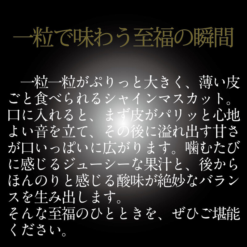 [HS]【定期便全2回】ぶどう先行予約7月・8月発送温室シャインマスカット晴王1房約600g ブドウ 葡萄  岡山県産 国産 フルーツ 果物 ギフト デザート 食後 酸味が少ない 産地直送