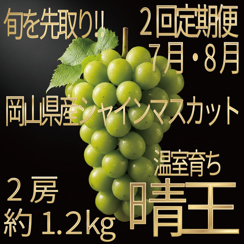 [HS]【定期便全2回】ぶどう先行予約7月・8月発送温室シャインマスカット晴王2房（合計約1.2kg）ブドウ 葡萄  岡山県産 国産 フルーツ 果物 ギフト デザート 食後 酸味が少ない 産地直送