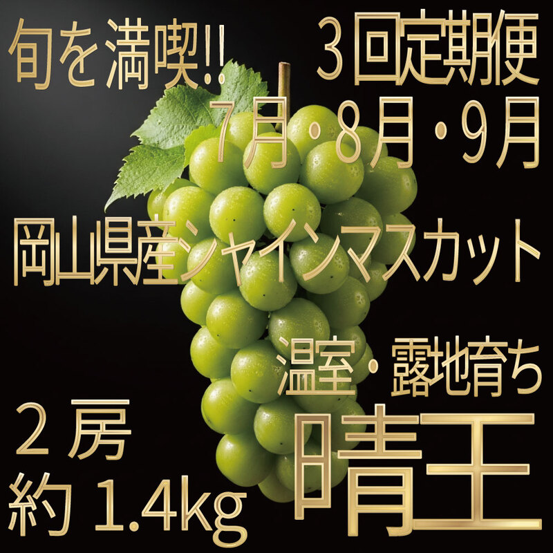 [HS]【定期便全3回】ぶどう先行予約7月・8月・9月発送温室シャインマスカット晴王2房（合計約1.4kg）ブドウ 葡萄  岡山県産 国産 フルーツ 果物 ギフト デザート 食後 酸味が少ない 産地直送