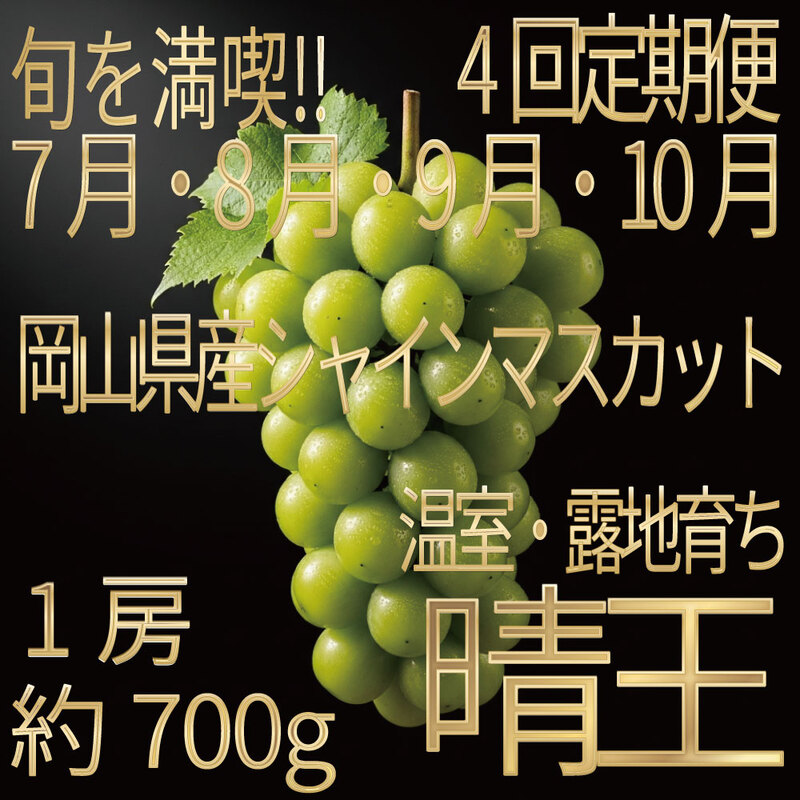 [HS]【定期便全4回】ぶどう先行予約7月・8月・9月・10月発送温室シャインマスカット晴王1房約700g ブドウ 葡萄  岡山県産 国産 フルーツ 果物 ギフト デザート 食後 酸味が少ない 産地直送