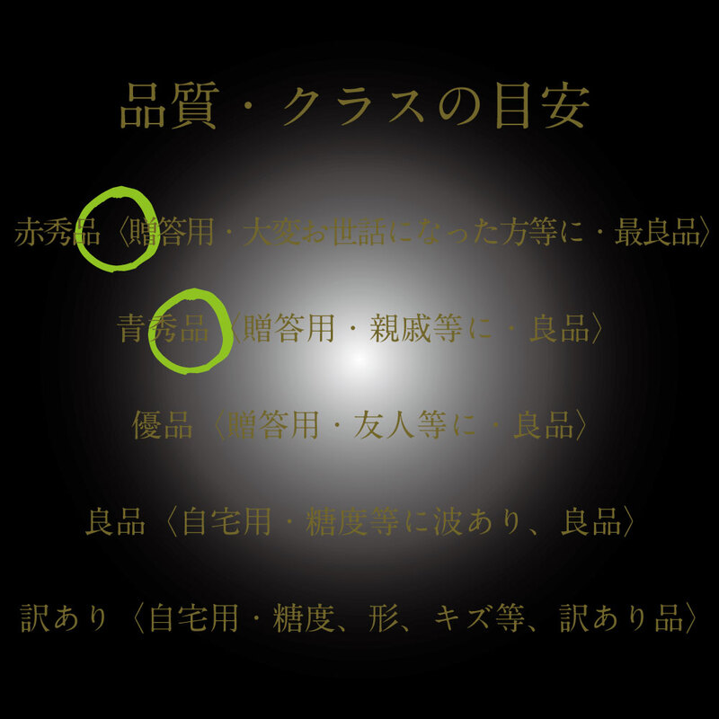 [HS]【定期便全4回】ぶどう先行予約7月・8月・9月・10月発送温室シャインマスカット晴王2房（合計約1.4kg）ブドウ 葡萄  岡山県産 国産 フルーツ 果物 ギフト デザート 食後 酸味が少ない 産地直送