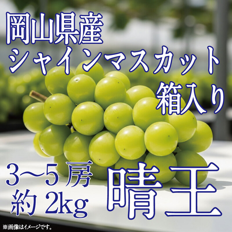 [HS]ぶどう先行予約9月・10月発送シャインマスカット晴王2kg箱（3～5房）ブドウ 葡萄  岡山県産 国産 フルーツ 果物 ギフト デザート 食後 酸味が少ない 産地直送