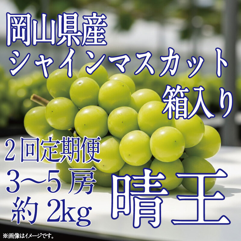 [HS]【定期便全2回】ぶどう先行予約9月・10月発送シャインマスカット晴王2kg箱（3～5房）ブドウ 葡萄  岡山県産 国産 フルーツ 果物 ギフト デザート 食後 酸味が少ない 産地直送