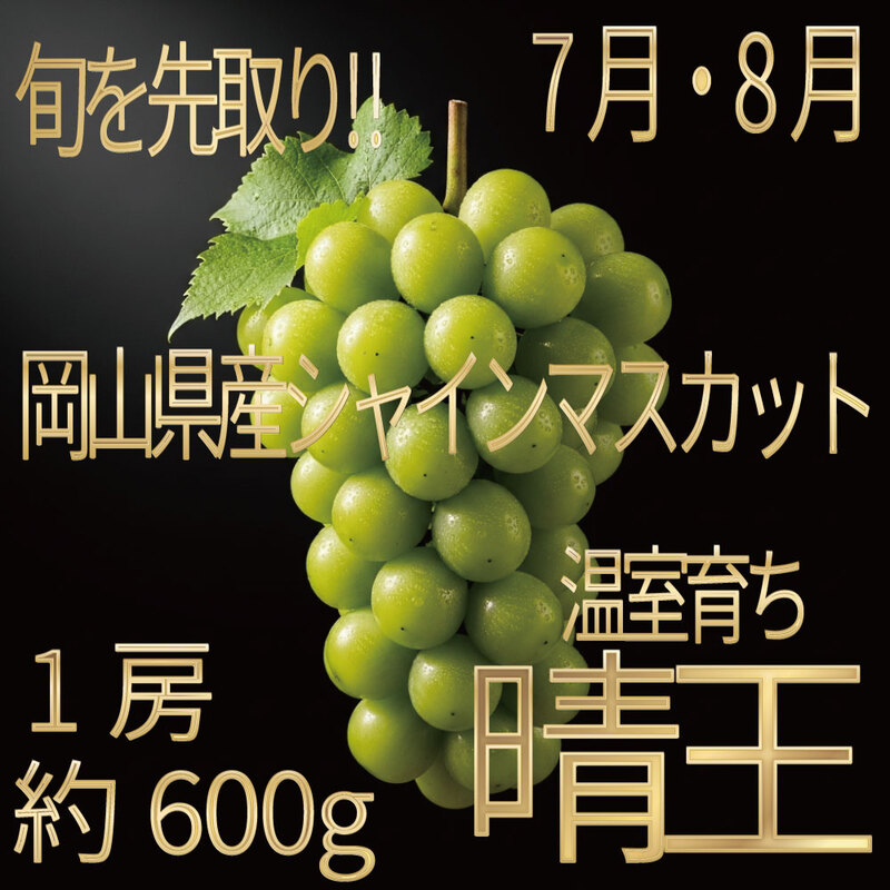 [HS]ぶどう先行予約7月・8月発送温室シャインマスカット晴王1約600g ブドウ 葡萄  岡山県産 国産 フルーツ 果物 ギフト デザート 食後 酸味が少ない 産地直送
