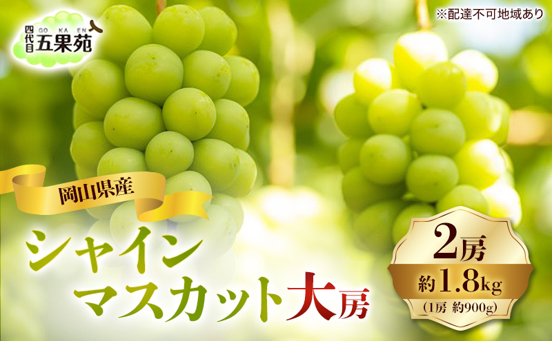 ぶどう 2026年 先行予約 シャイン マスカット 2房 合計1.8kg（1房 約900g）大房 岡山県産 四代目 五果苑 果物類 フルーツ 糖度20度 甘い 種なし 皮ごと 詰め合わせ