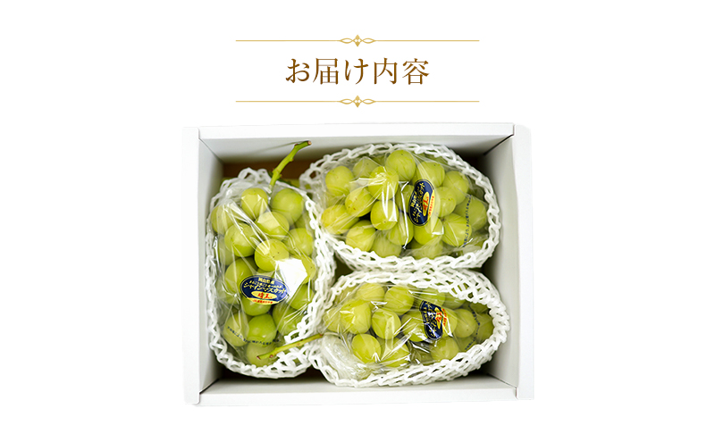 【天満屋選定品】岡山県産 シャインマスカット 晴王 約1.5kg（2026年発送）