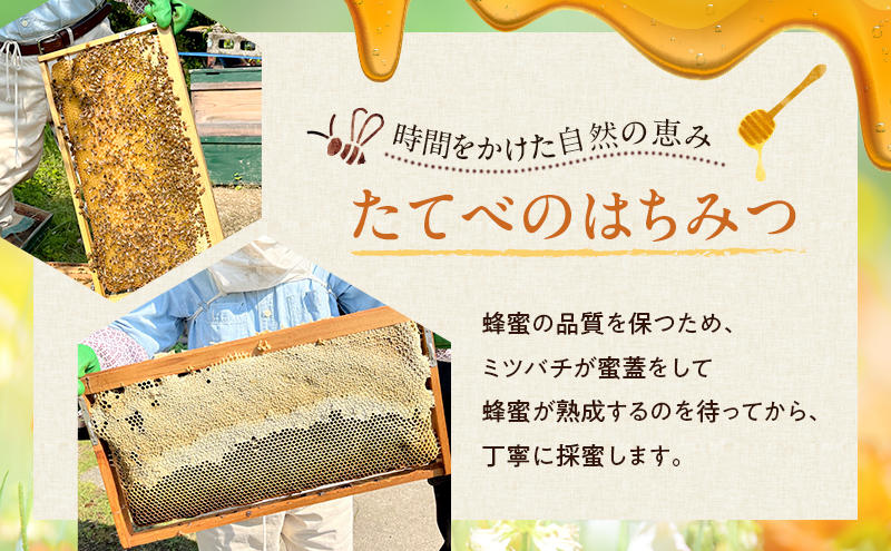 ＜ れんげ 蜂蜜 ＞と＜ 百花 蜂蜜 ＞の2点 セット はちみつ 加工食品 