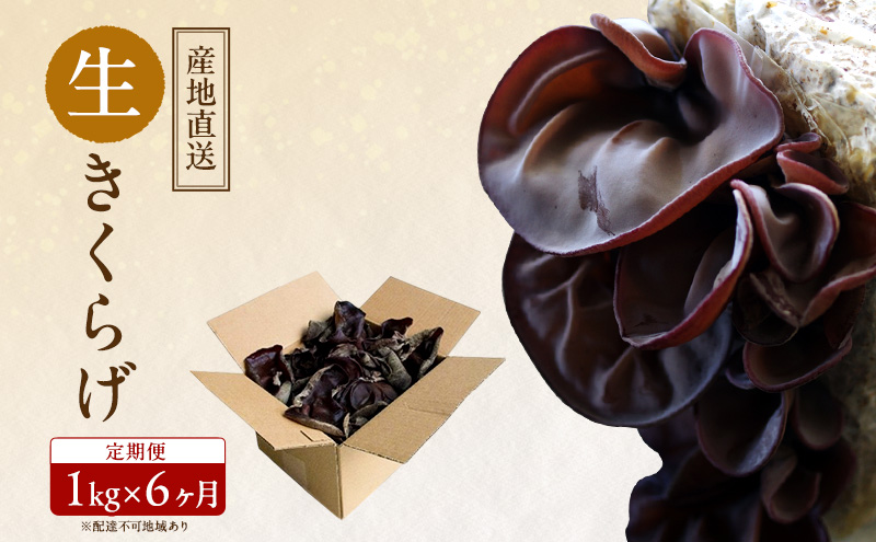 【 産地直送 】 有機JAS 生きくらげ 定期便 1kg×6ヶ月 オーガニック きくらげ きのこ 野菜 岡山県 玉野市 栽培期間中化学肥料不使用 栽培期間中農薬不使用 野菜セット