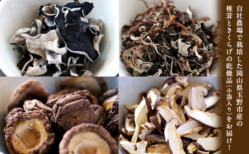 有機JAS 乾燥 しいたけ ・ 乾燥 きくらげ 4種各2個 詰合せ オーガニック 野菜 きのこ 岡山県 玉野市 栽培期間中化学肥料不使用 栽培期間中農薬不使用 