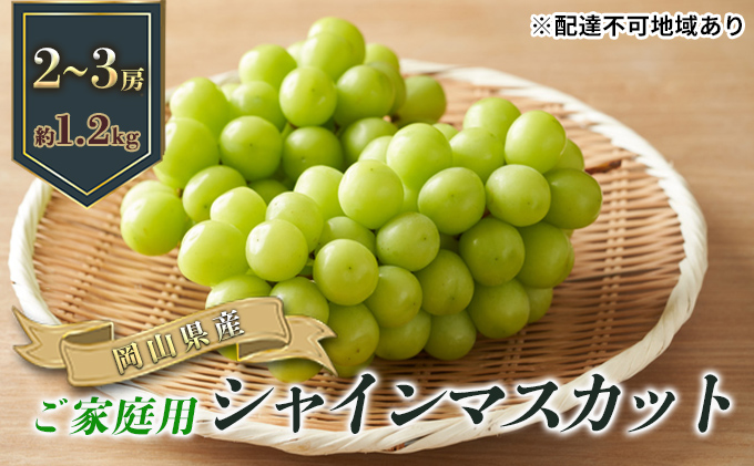 ご家庭用 シャインマスカット 2～3房（約1.2kg）岡山県産 葡萄 ぶどう