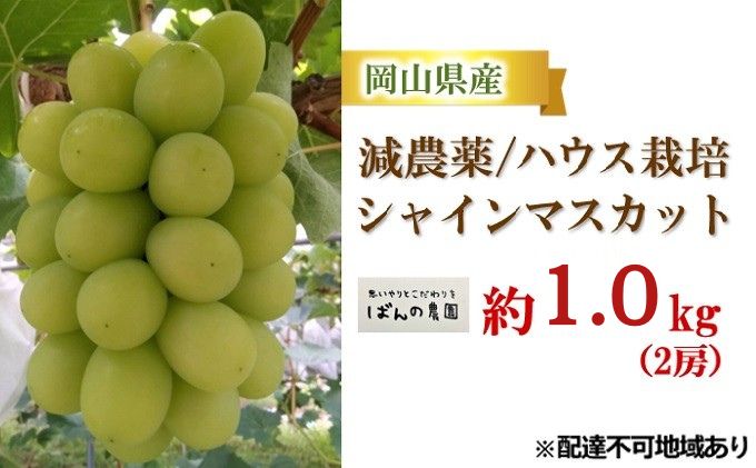 ぶどう 2026年 先行予約 シャインマスカット 約1kg 2房 減農薬／ハウス栽培 ブドウ 葡萄  岡山県産 国産 フルーツ 果物 ギフト ばんの農園 果物類 シャインマスカット
