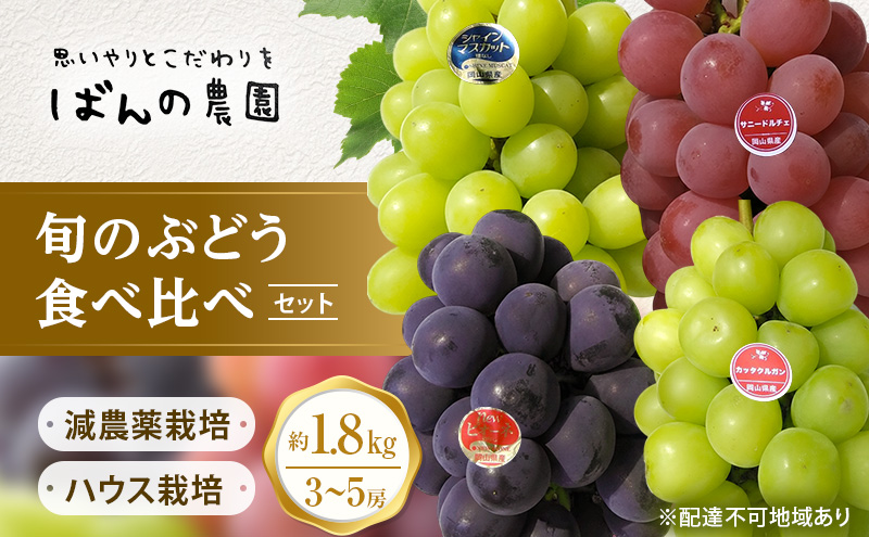 ぶどう 2026年 先行予約 旬のぶどう食べ比べセット 約1.8kg 3～5房 減農薬／ハウス栽培 ブドウ 葡萄  岡山県産 国産 フルーツ 果物 ギフト ばんの農園 マスカット