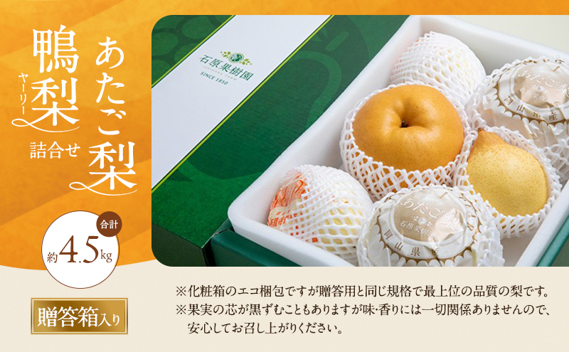 譴ィ 2026蟷エ 蜈郁。御コ育エ 縺ゅ◆縺疲「ィ繝サ魘ィ譴ィシ医Ζ繝シ繝ェ繝シシ芽ゥー蜷医○ 蜷郁ィ育エ4.5kg 縺ゅ◆縺2ス3邇 魘ィ譴ィ3ス7邇 雍育ュ皮ョア縲11譛井ク区流ス12譛井クュ譌ャ鬆逋コ騾√代リ繧キ 縺ェ縺 蟯。螻ア逵檎肇 蝗ス逕」 繝輔Ν繝シ繝 譫懃黄 繧ョ繝輔ヨ 遏ウ蜴滓棡讓ケ蝨